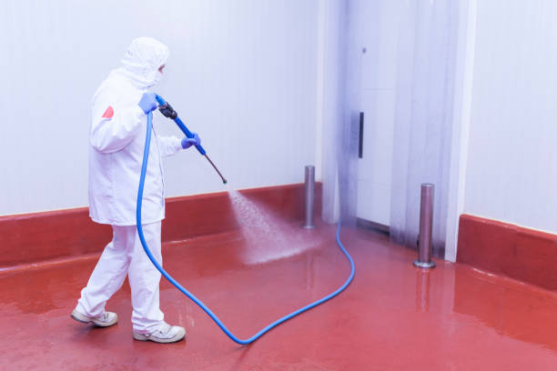 Best Boat and Dock Cleaning  in Kathleen, FL